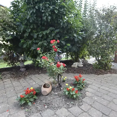 Cozy In Rostock With Terrace
